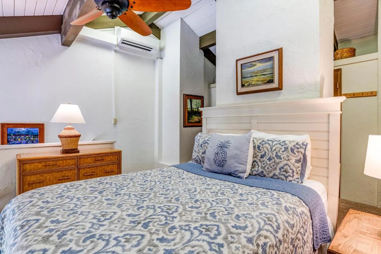 Holiday home Papakea C405 Villa Kahana United States